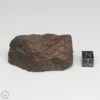 NWA 775 Meteorite 51.7g Part End Cut