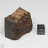 NWA 775 Meteorite 65.9g Part End Cut