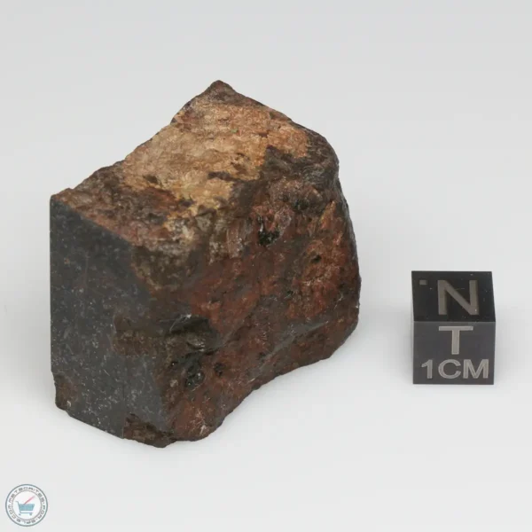 NWA 775 Meteorite 65.9g Part End Cut