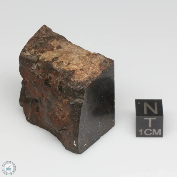 NWA 775 Meteorite 65.9g Part End Cut