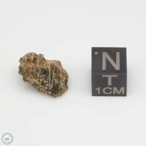 NWA 7831 Meteorite 2.2g