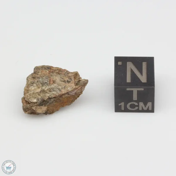 NWA 7831 Meteorite 2.3g