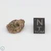 NWA 7831 Meteorite 2.3g