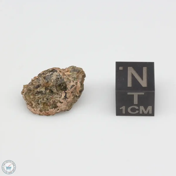 NWA 7831 Meteorite 2.3g