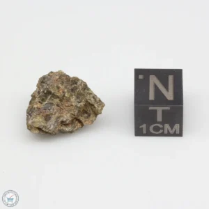 NWA 7831 Meteorite 2.4g