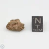 NWA 7831 Meteorite 2.4g