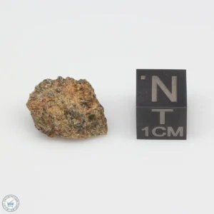 NWA 7831 Meteorite 2.4g