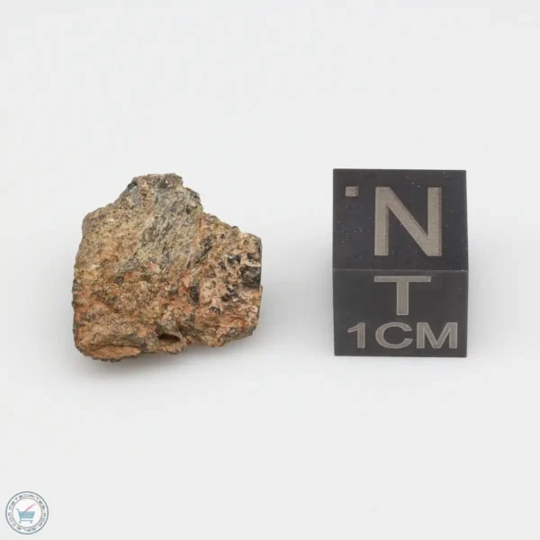 NWA 7831 Meteorite 2.5g