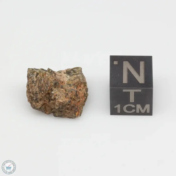 NWA 7831 Meteorite 2.5g