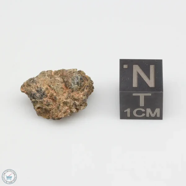 NWA 7831 Meteorite 2.8g