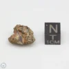 NWA 7831 Meteorite 2.8g