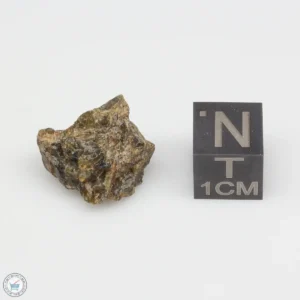 NWA 7831 Meteorite 3.2g