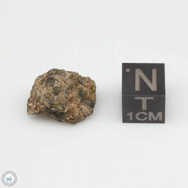 NWA 7831 Meteorite 3.3g