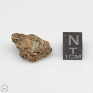 NWA 7831 Meteorite 3.6g