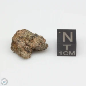 NWA 7831 Meteorite 4.1g