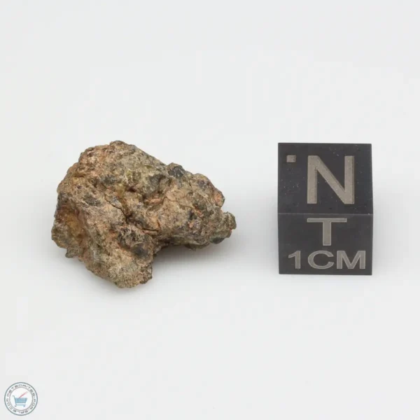 NWA 7831 Meteorite 4.1g