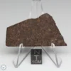 Sahara 99676 Meteorite 8.7g