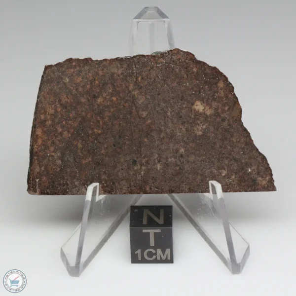 Sahara 99676 Meteorite 15.4g