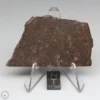 Sahara 99676 Meteorite 16.8g