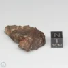 Sahara 99676 Meteorite 15.5g End Cut