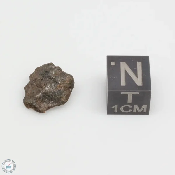 Bondoc Meteorite BON-47 - The Meteorite Exchange, Inc.