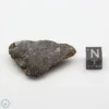 Bondoc Meteorite 13.5g End Cut