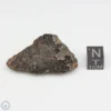 Bondoc Meteorite 13.5g End Cut