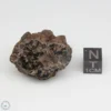 Bondoc Meteorite 37.4g End Cut