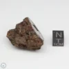 Bondoc Meteorite 37.4g End Cut