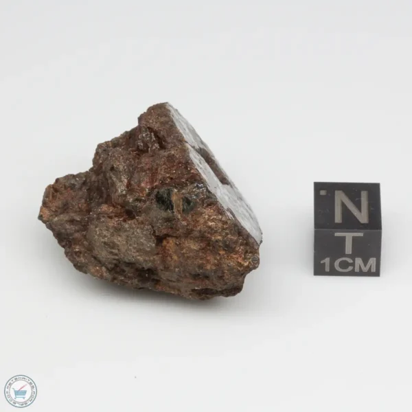 Bondoc Meteorite 37.4g End Cut