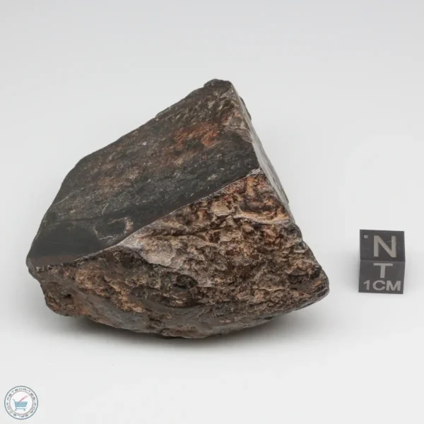 Bondoc Meteorite BON-54 | Meteorite Exchange, Inc.