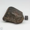 Bondoc Meteorite 201.4g Part End Cut