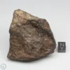 Bondoc Meteorite 201.4g Part End Cut