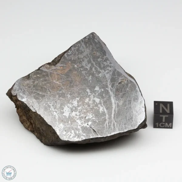 Bondoc Meteorite BON-54 | Meteorite Exchange, Inc.