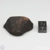 Gao-Guenie Meteorite 23.2g