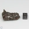 Sikhote-Alin Meteorite Shrapnel 39.5g