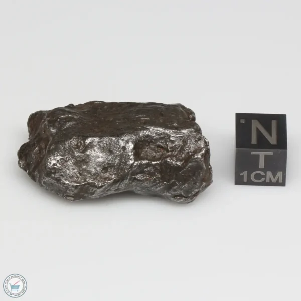 Sikhote-Alin Meteorite Shrapnel 42.8g