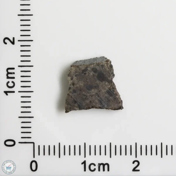 Sueilila 002 Mars Meteorite 0.59g