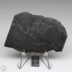 Tassédet 004 Meteorite 39.2g