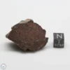 UNWA Meteorite End Piece 28.0g