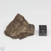 UNWA Meteorite End Piece 28.0g