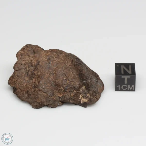 UNWA Meteorite End Piece 39.2g