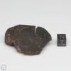 UNWA Meteorite End Piece 35.1g