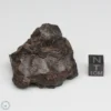 UNWA Meteorite End Piece 74.5g