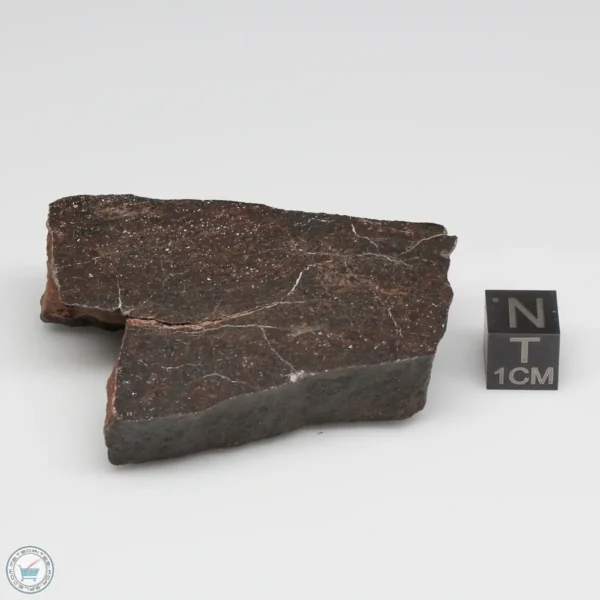 UNWA Meteorite End Piece 73.7g