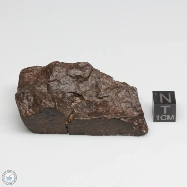 UNWA Meteorite End Piece 59.0g