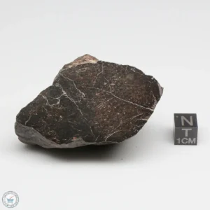 UNWA Meteorite End Piece 129.2g