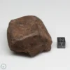 UNWA Meteorite Windowed Stone 174.2g