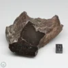 UNWA Meteorite Windowed Stone 206.3g