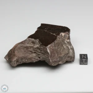 UNWA Meteorite Windowed Stone 206.3g